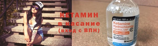 шишки Ивангород
