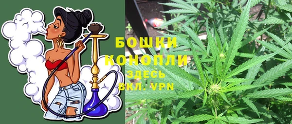 сатива Зуевка