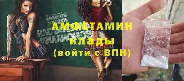 шишки Ивангород