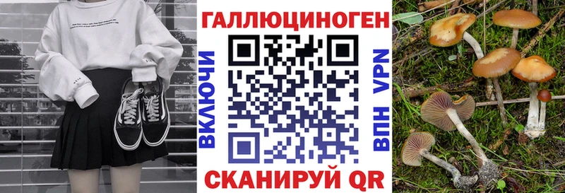 Псилоцибиновые грибы MAGIC MUSHROOMS магазин продажи наркотиков Белокуриха